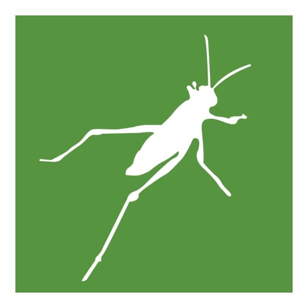 Grasshopper